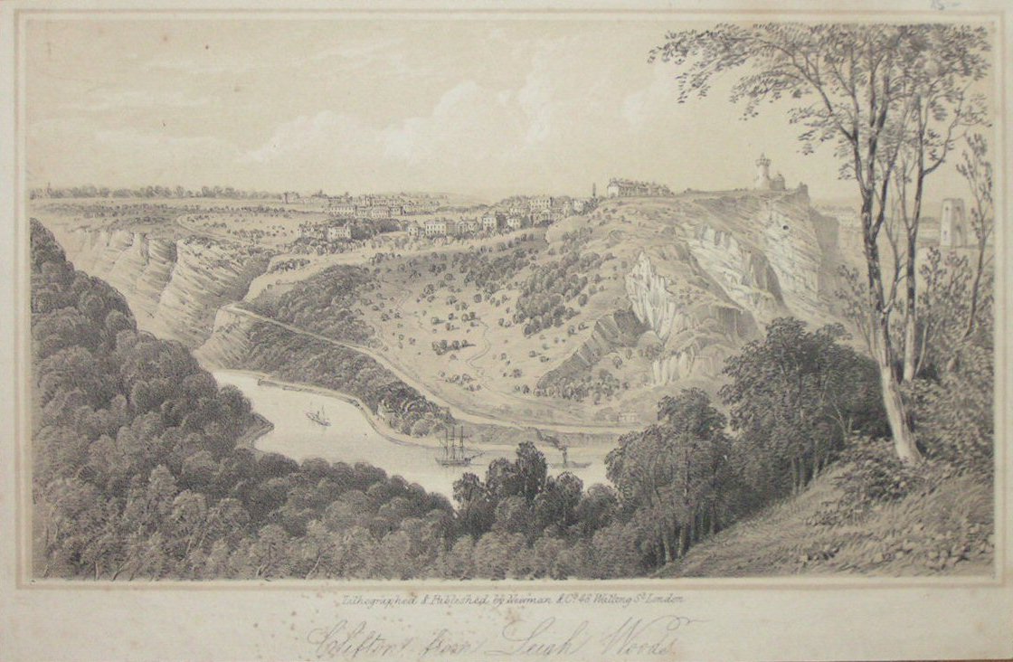 Lithograph - Clifton from Leigh Woods - Newman